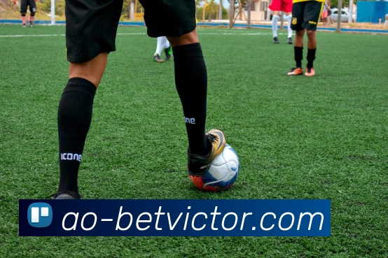 伟德体育官网发展历程